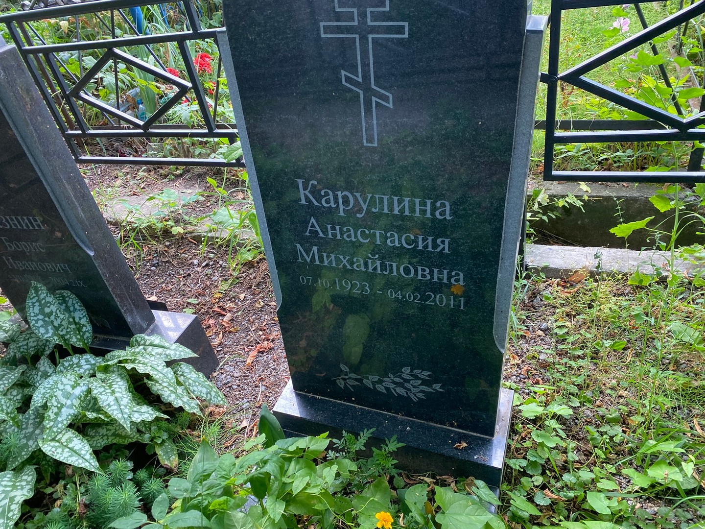 Карулина Анастасия Михайловна
