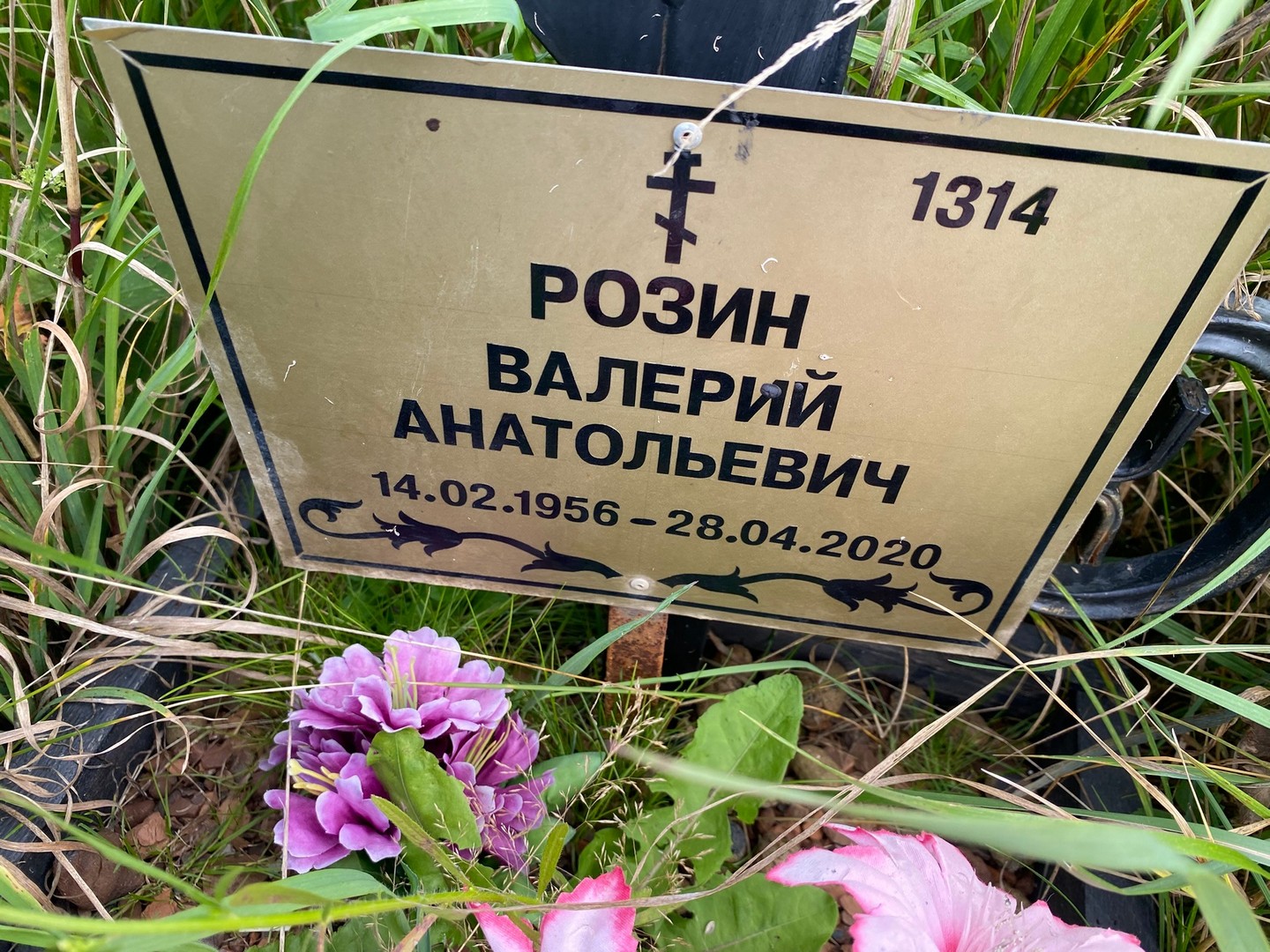 Розин