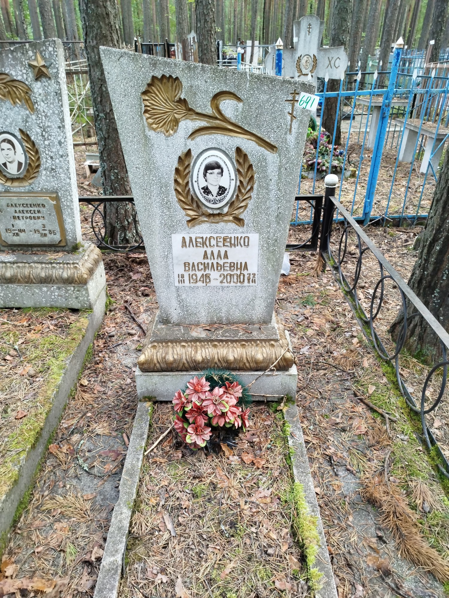 Алексеенко Алла Васильевна