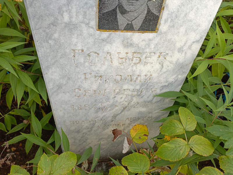 Голубев