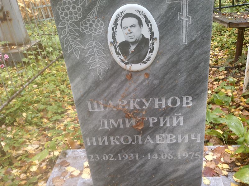 Шавкунов