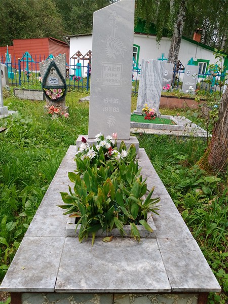 Гаев Марк Киприянович