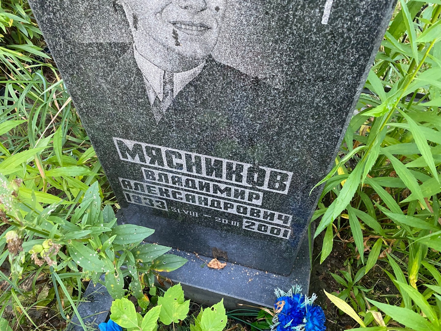 Мясников