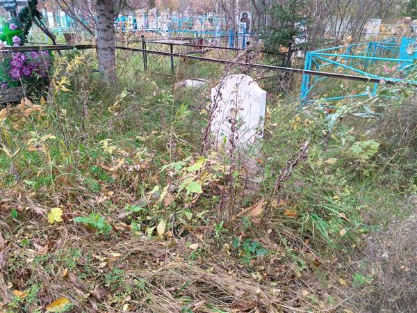 Потрепалов Георгий Анатольевич