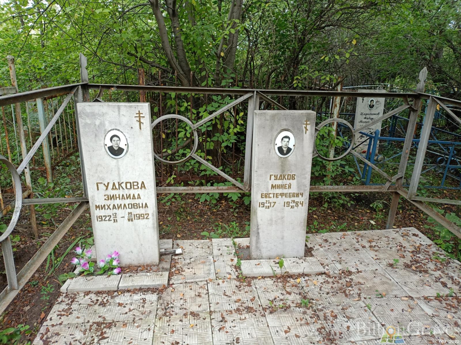 Гудков Миней Евстефеевич