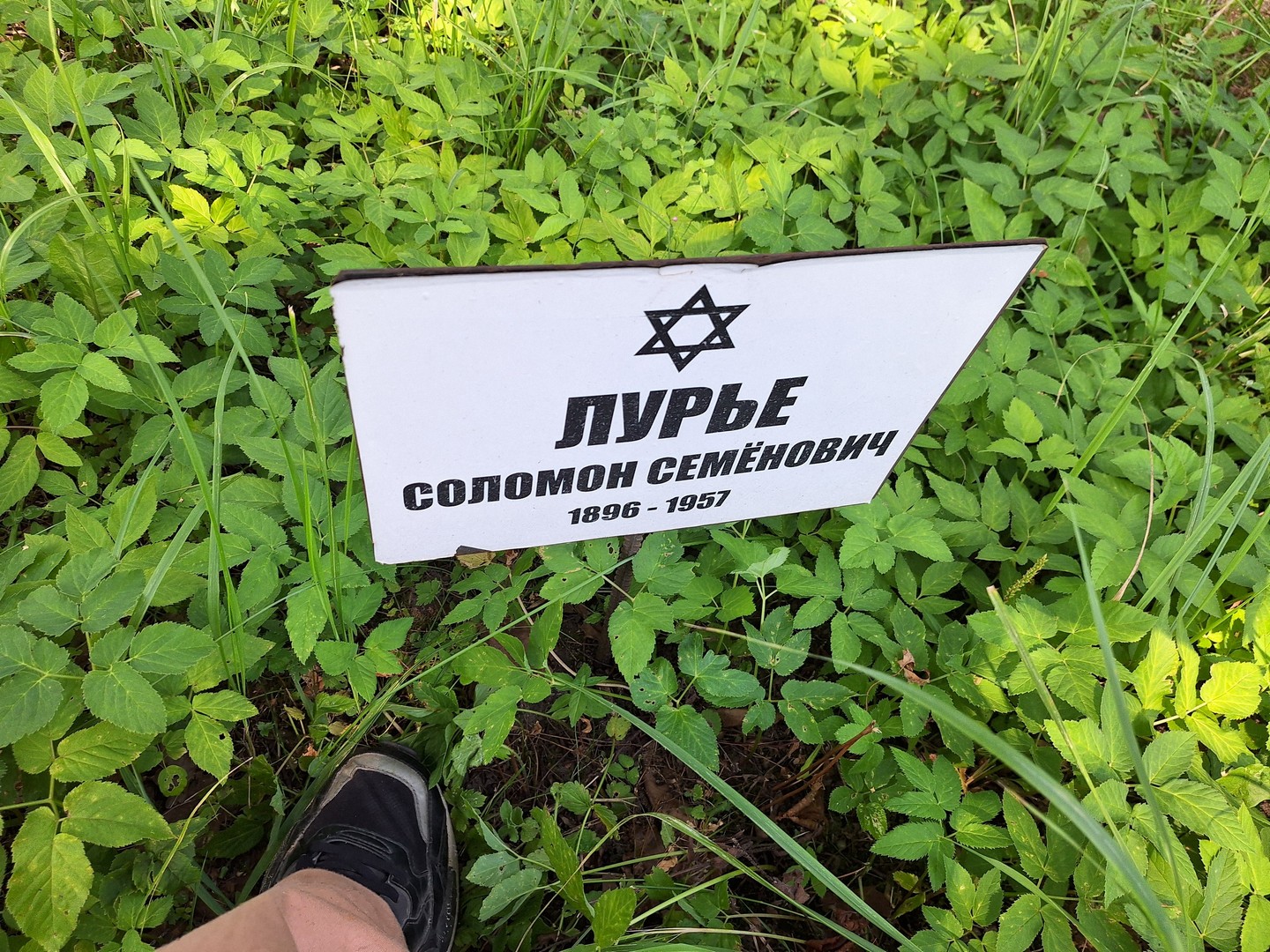 Соломон Лурье Семенович