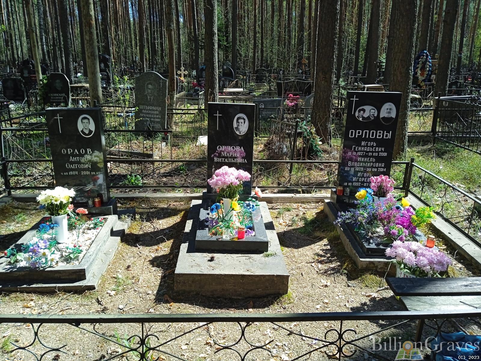 Орлова Нинель Владимировна