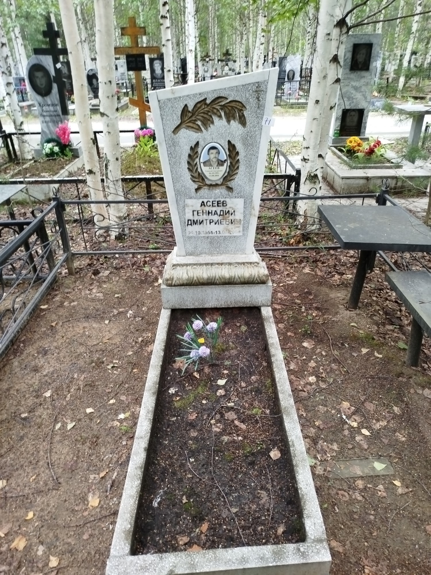 Асеев Геннадий Дмитриевич
