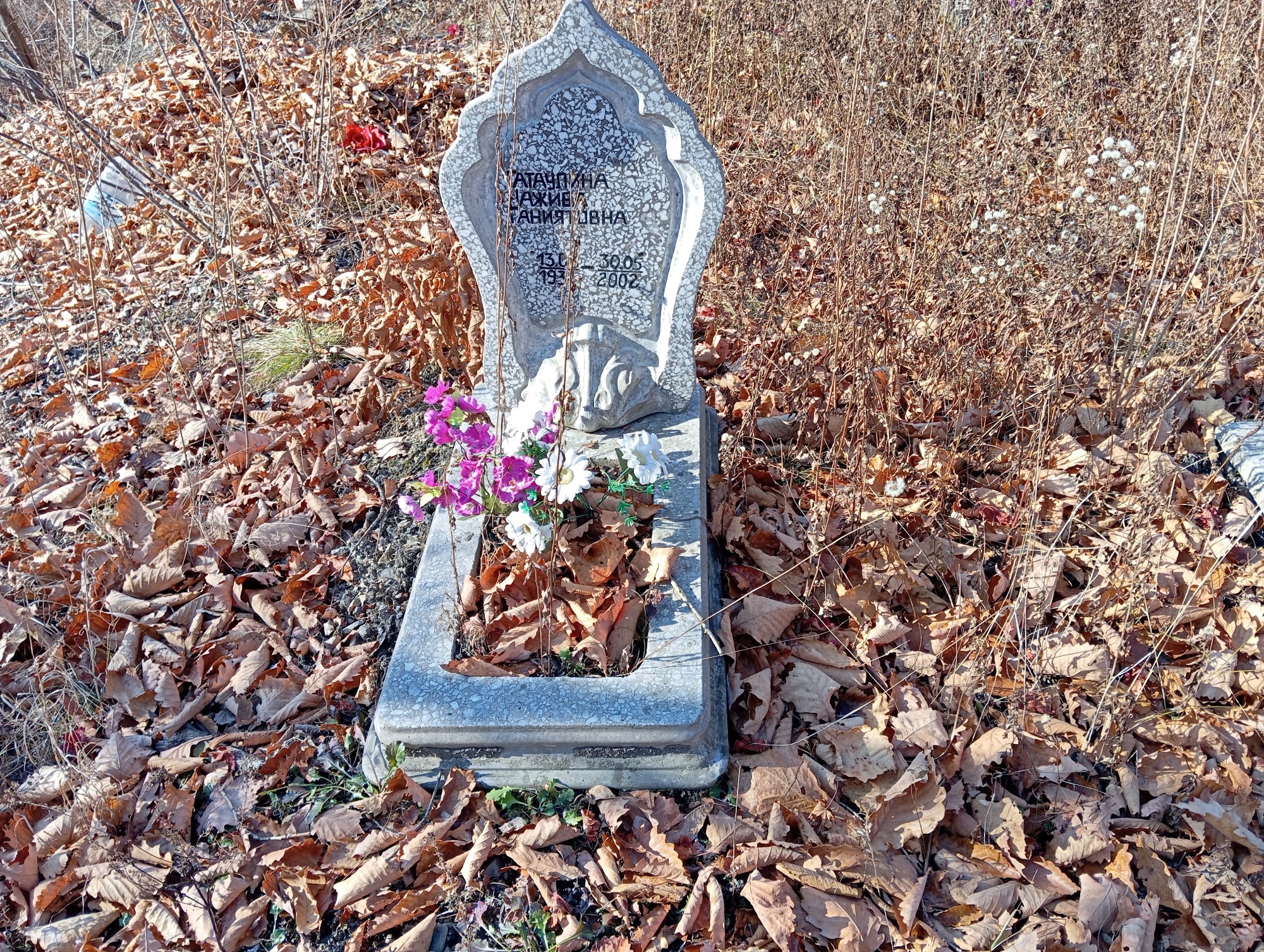 Гатаулина Нажиба Ганиятовна