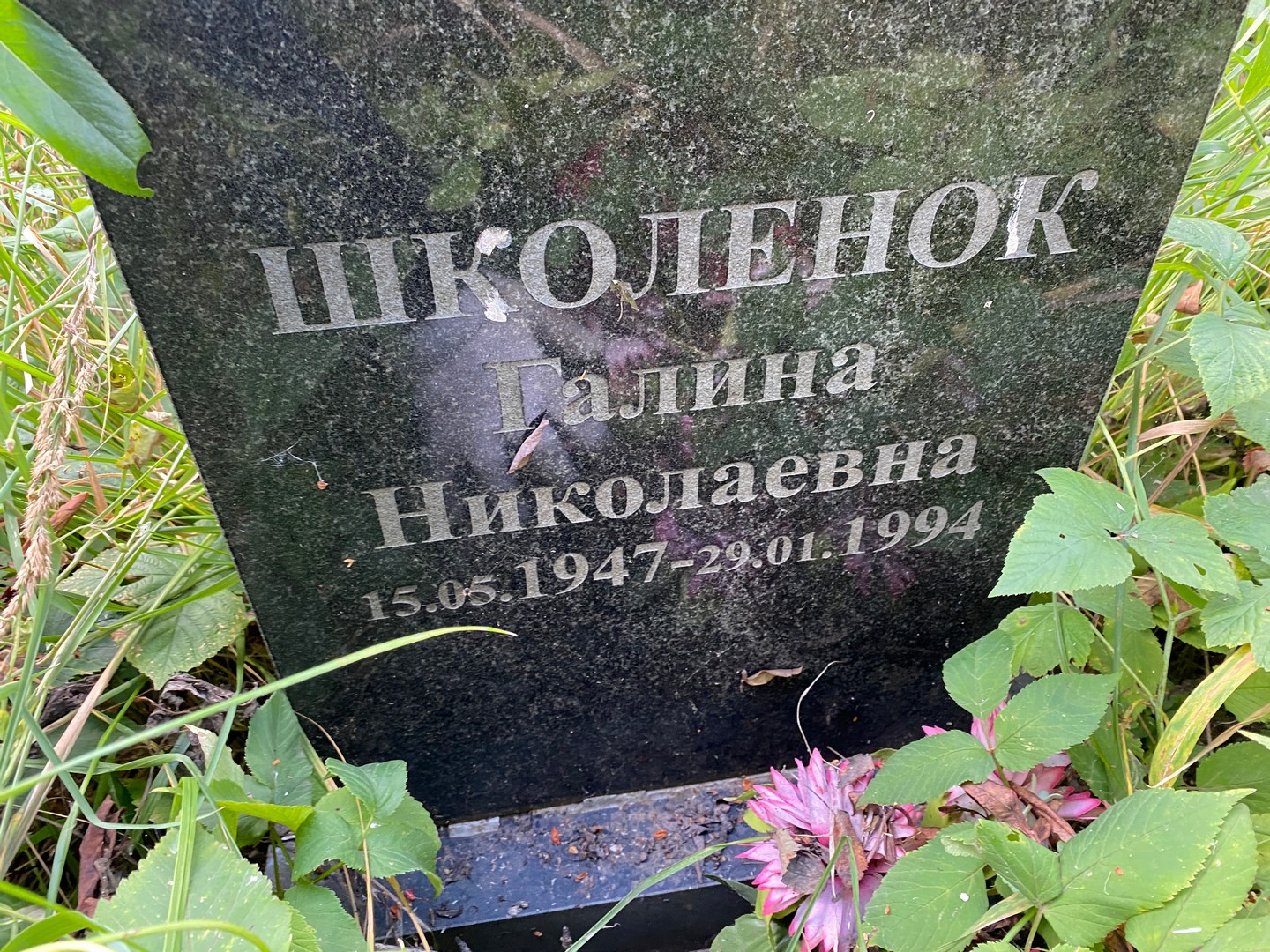 Школенок