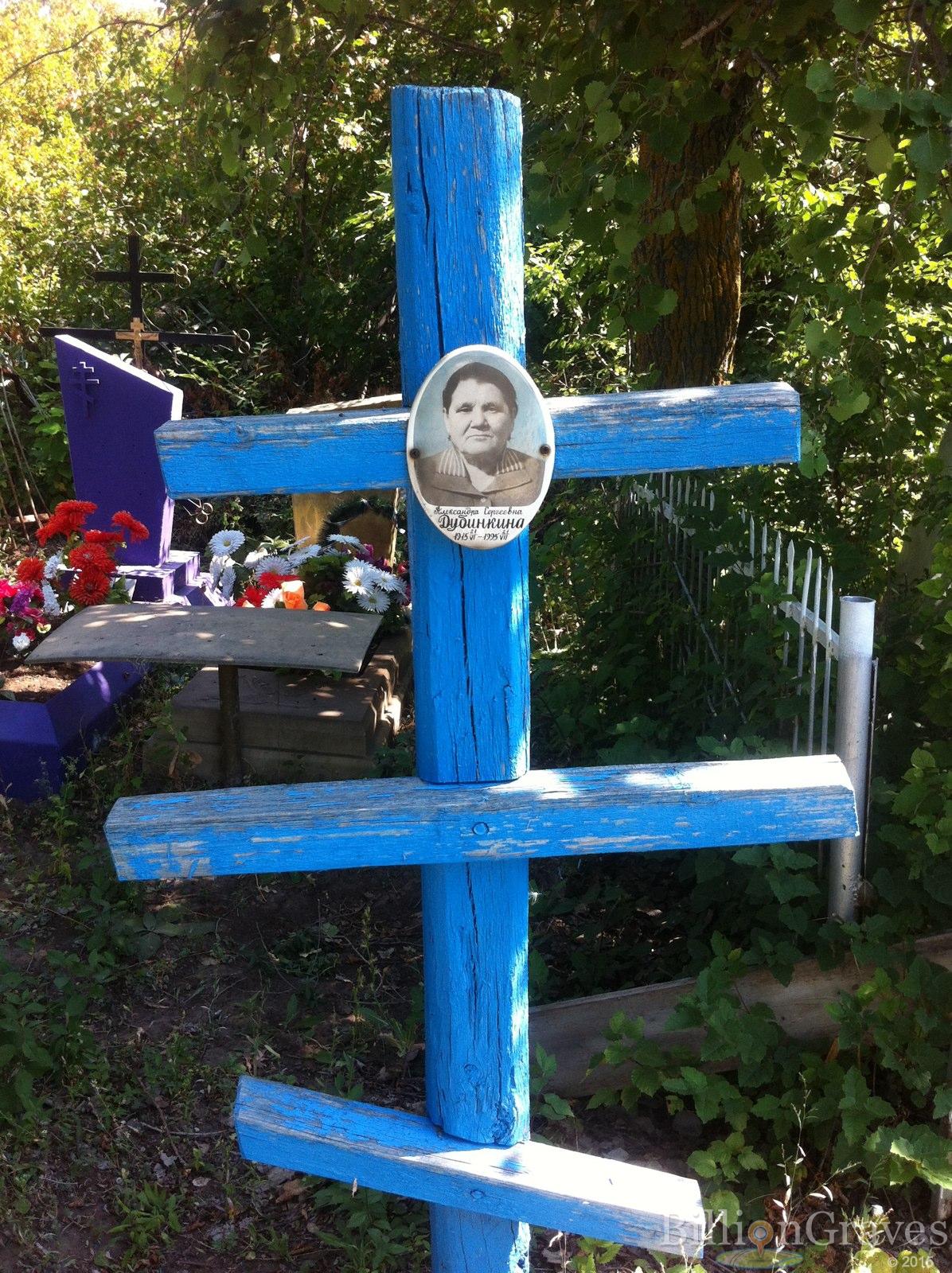 Дубинкина Александра Сергеевна