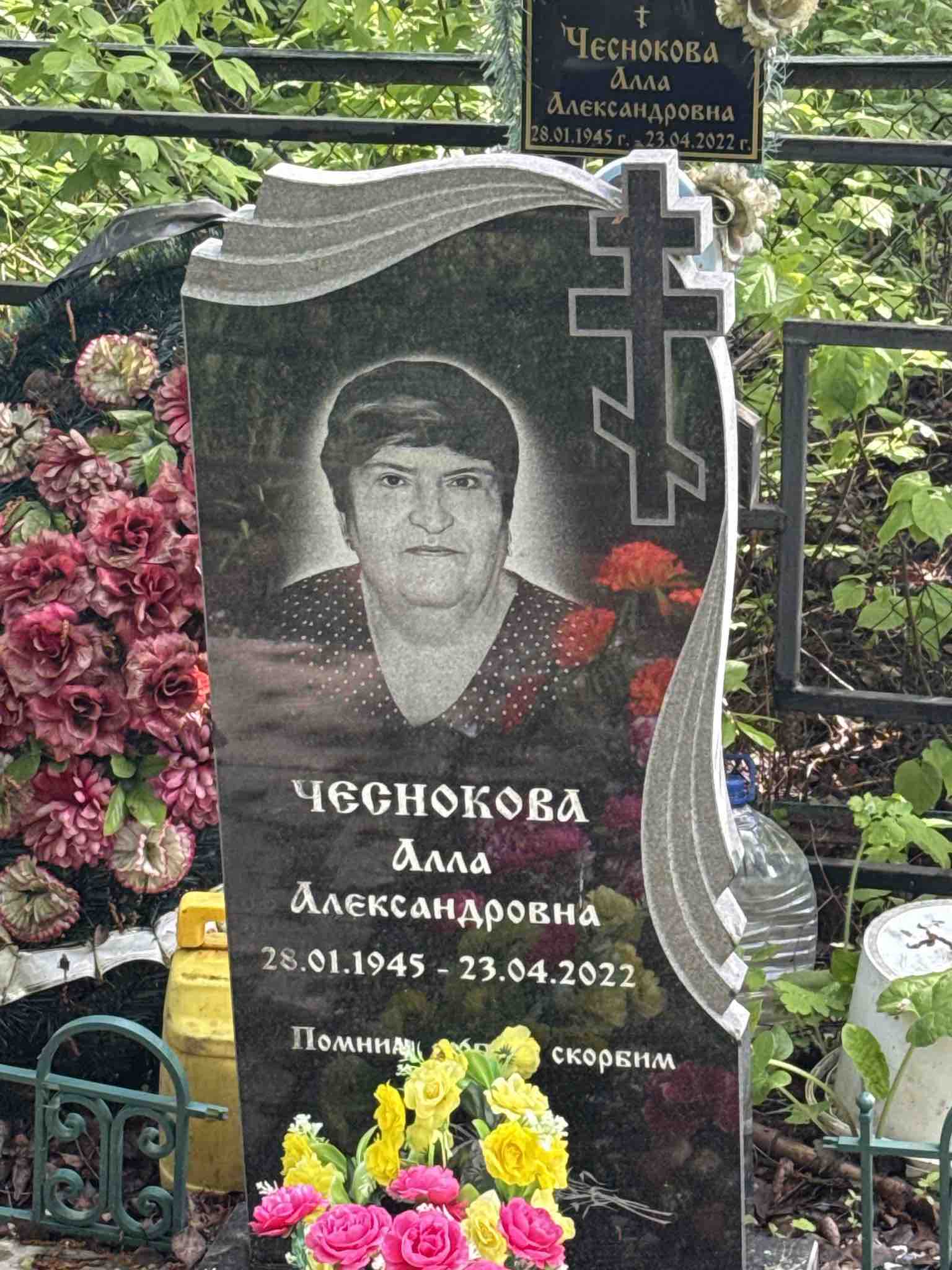 Чеснокова Алла Александровна
