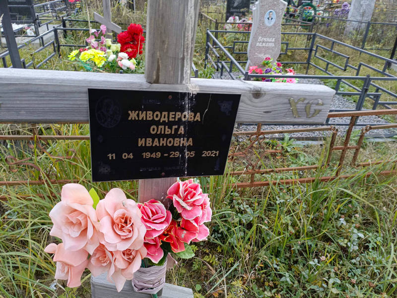 Живодерова