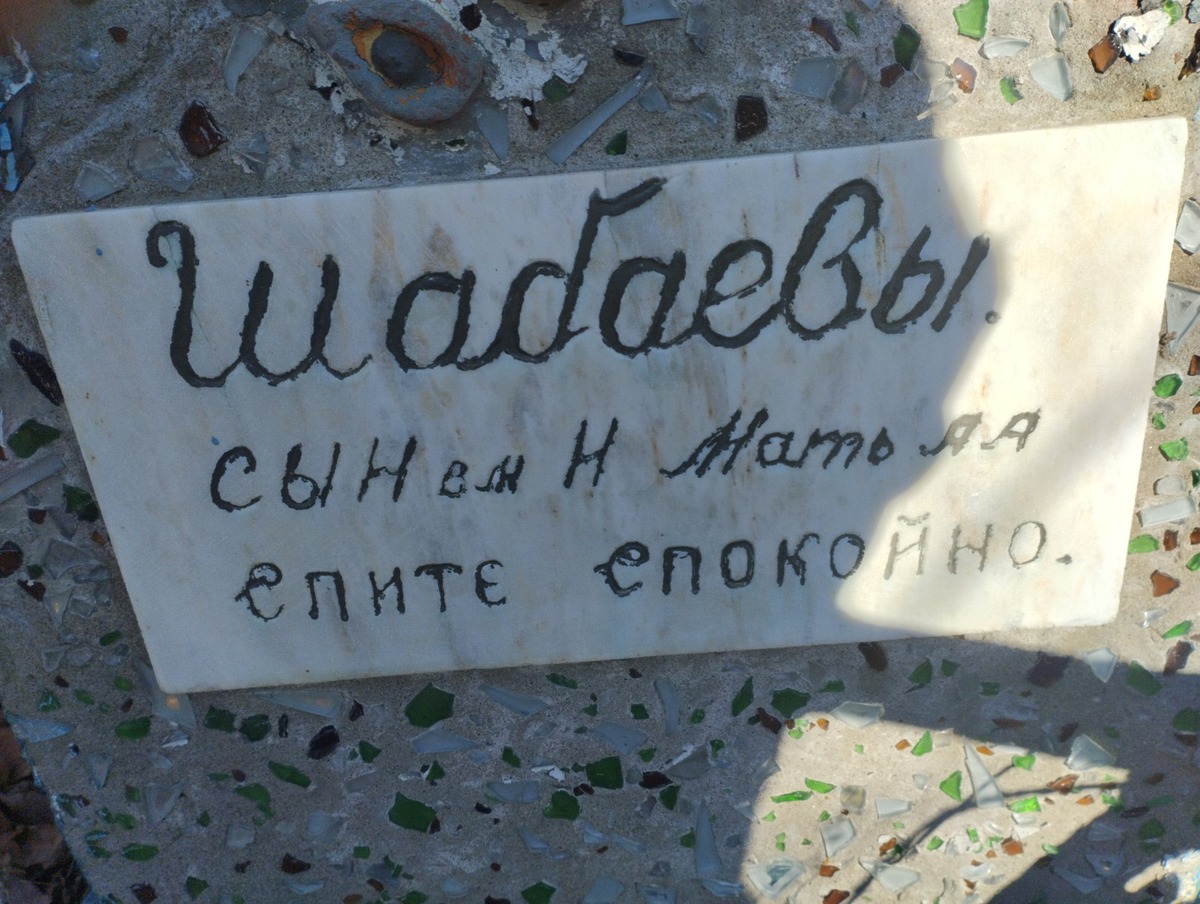 Шабаева Анастасия Александровна