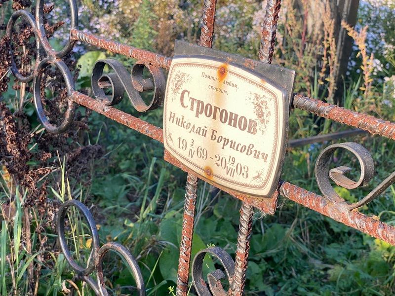 Строгонов