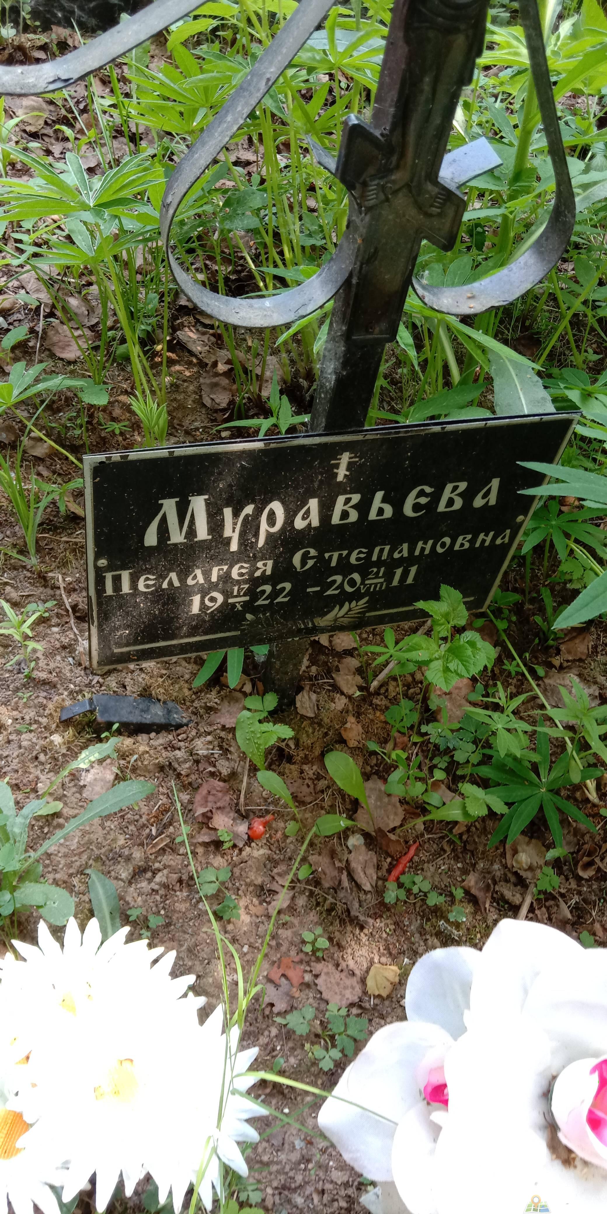 Муравьёва Пелагея Степановна
