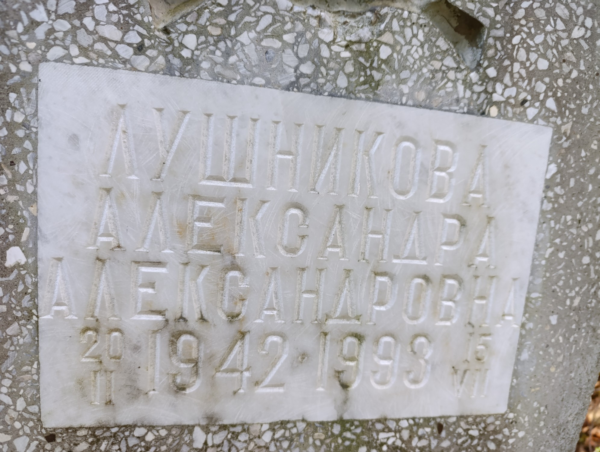 Лушникова Александра Александровна