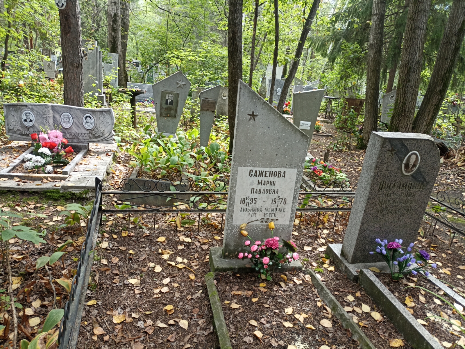 Саженова Мария Павловна