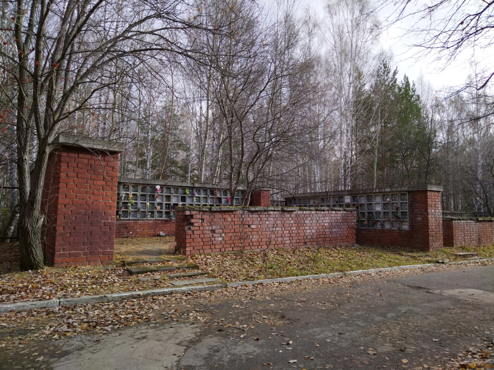 Безбородова Елена Алексеевна