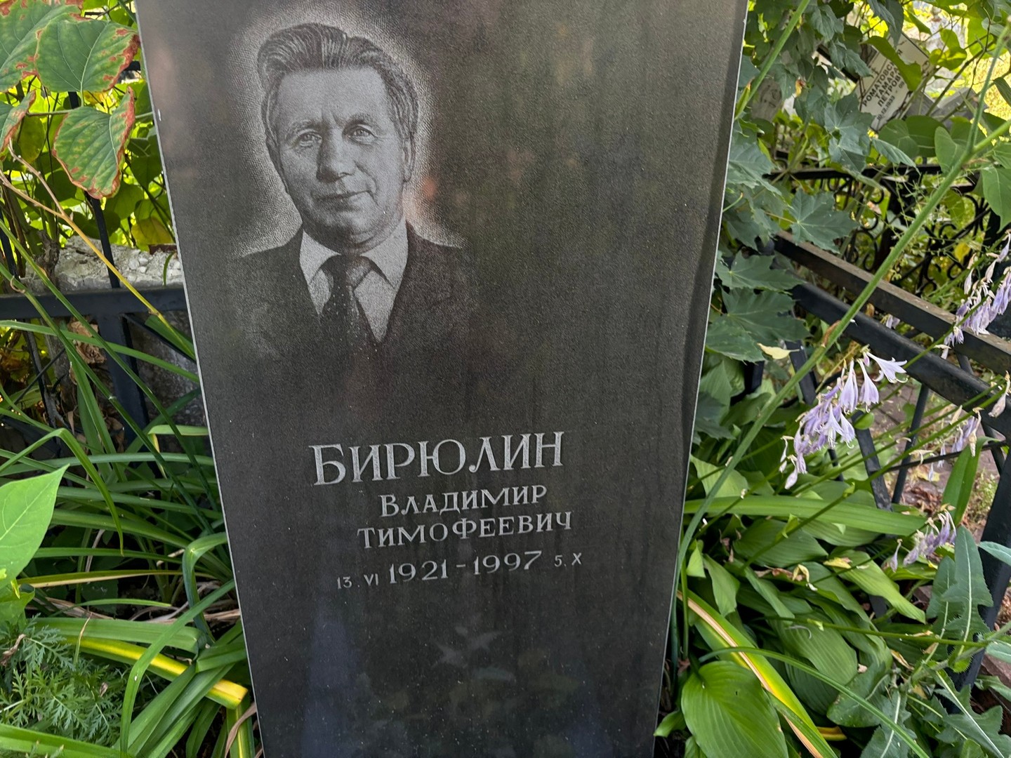Бирюлин