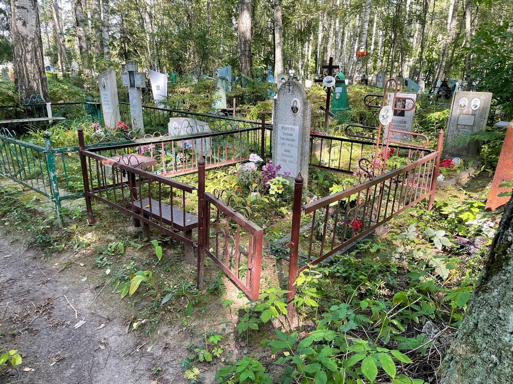 Морева Анна Павловна