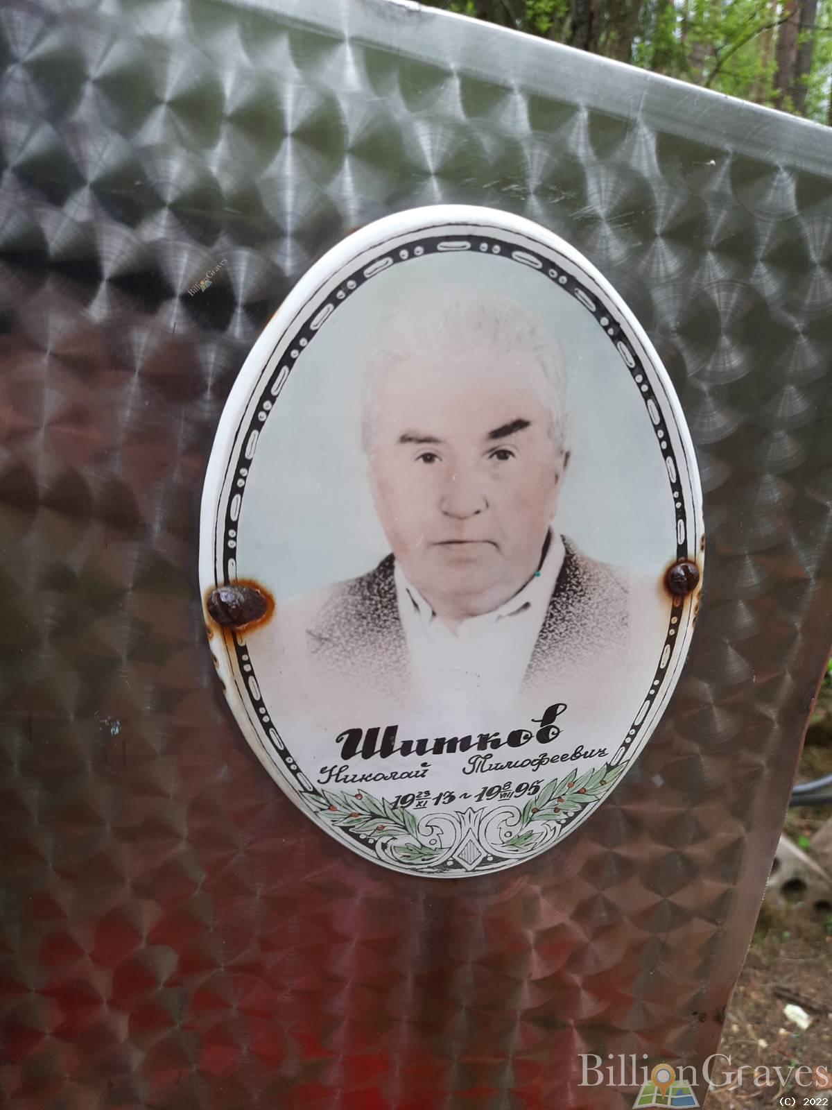 Шиткова Анастасия Алексеевна
