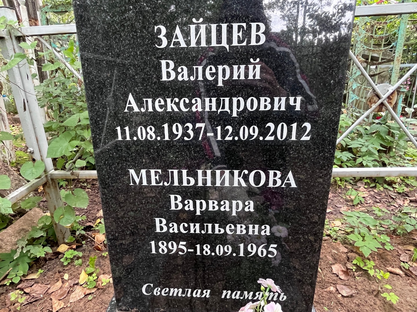 Зайцев
