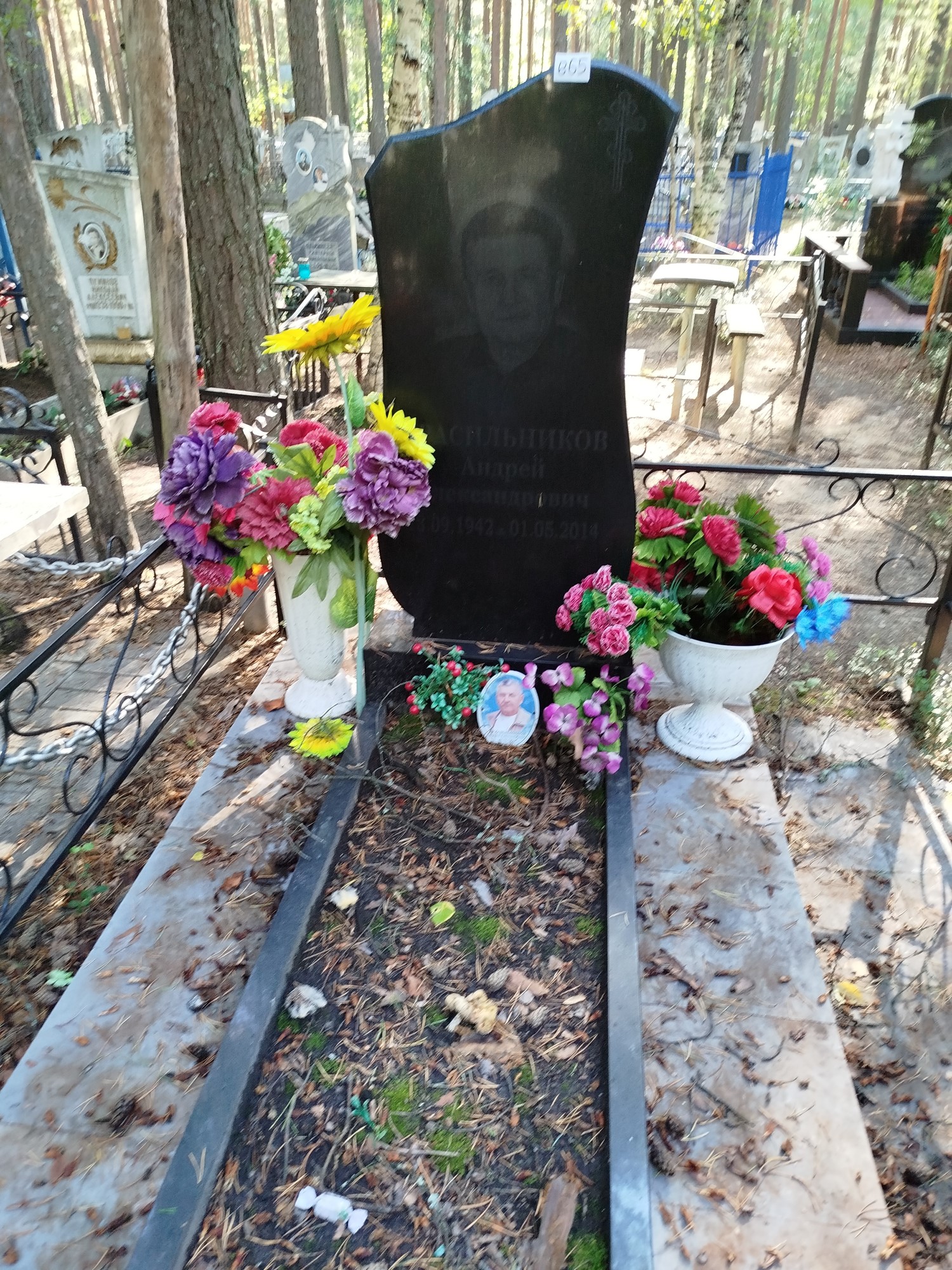 Красильников Андрей Александрович