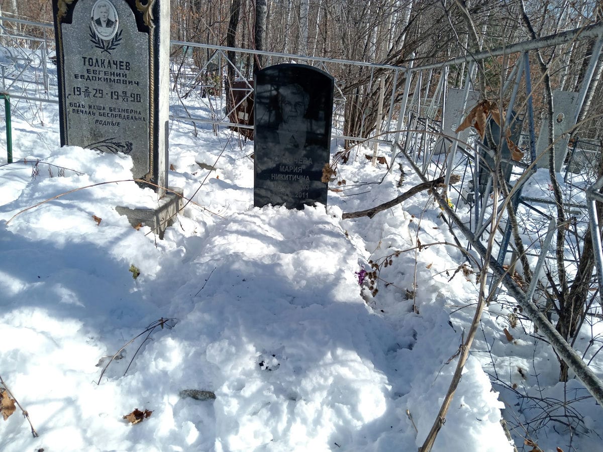 Толкачева Мария Никитична