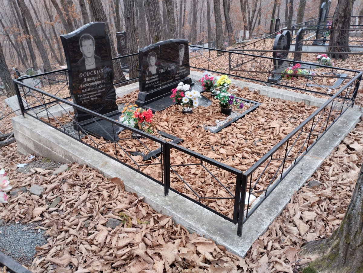 Ососков Дмитрий Александрович
