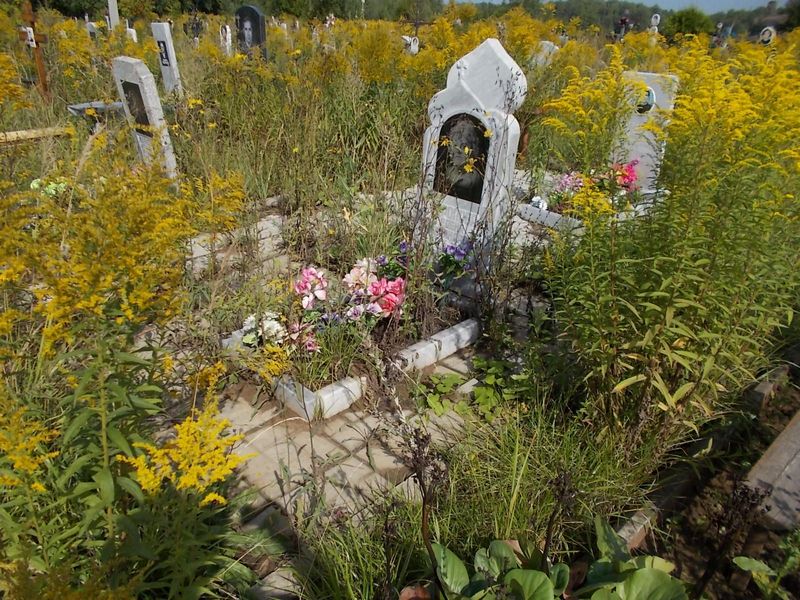 Торопова Елена Александровна