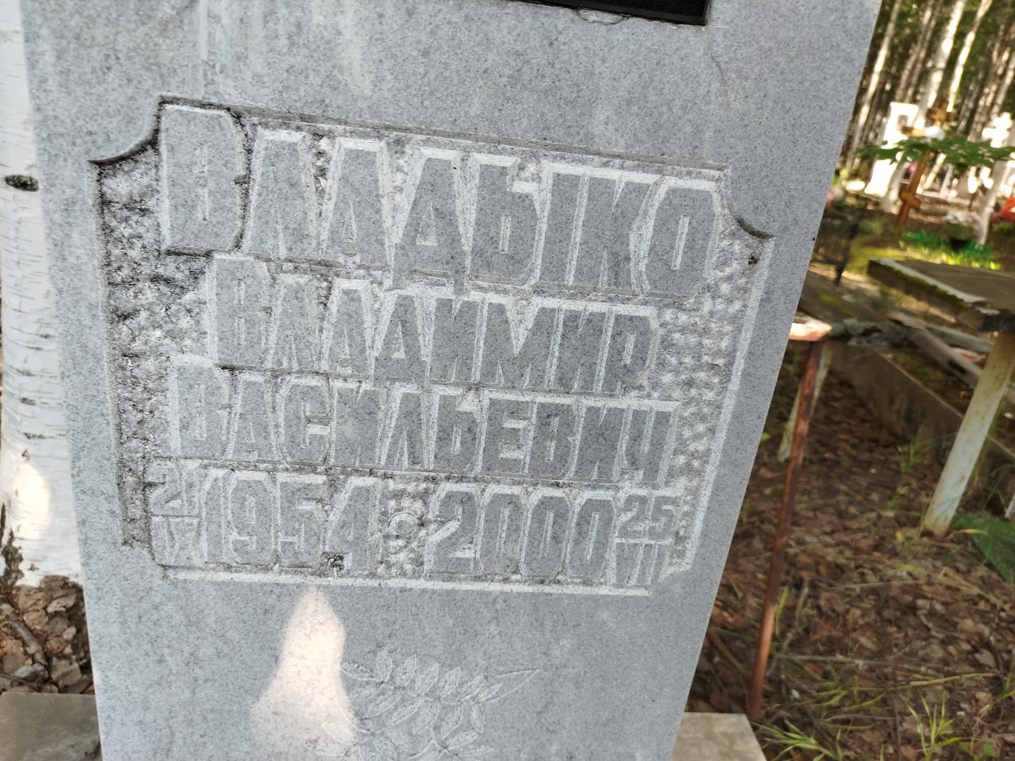 Владыко Владимир Васильевич
