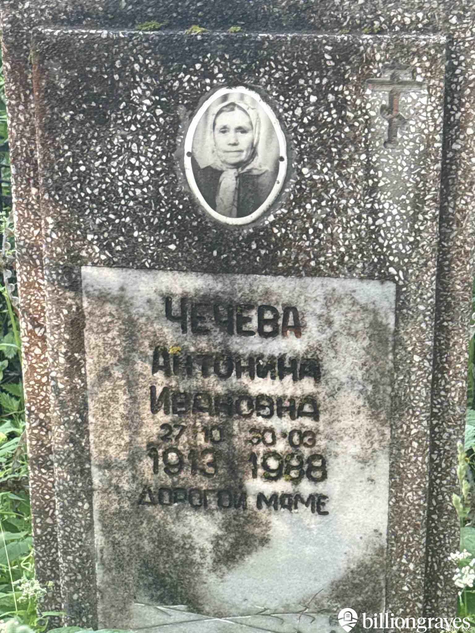 Чечева Антонина Ивановна
