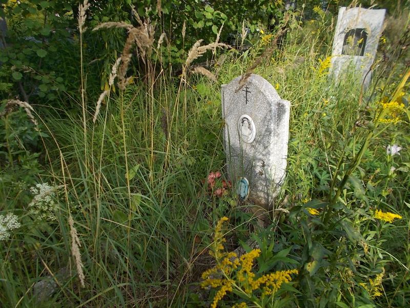 Шашкина Ирина Викторовна
