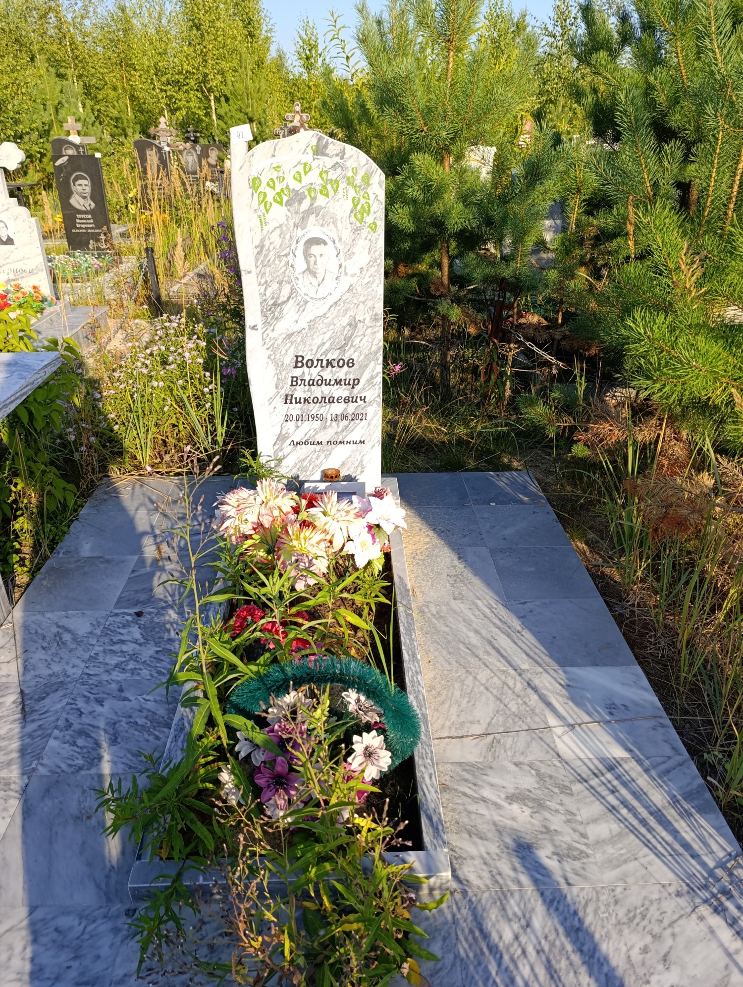 Волков Владимир Николаевич