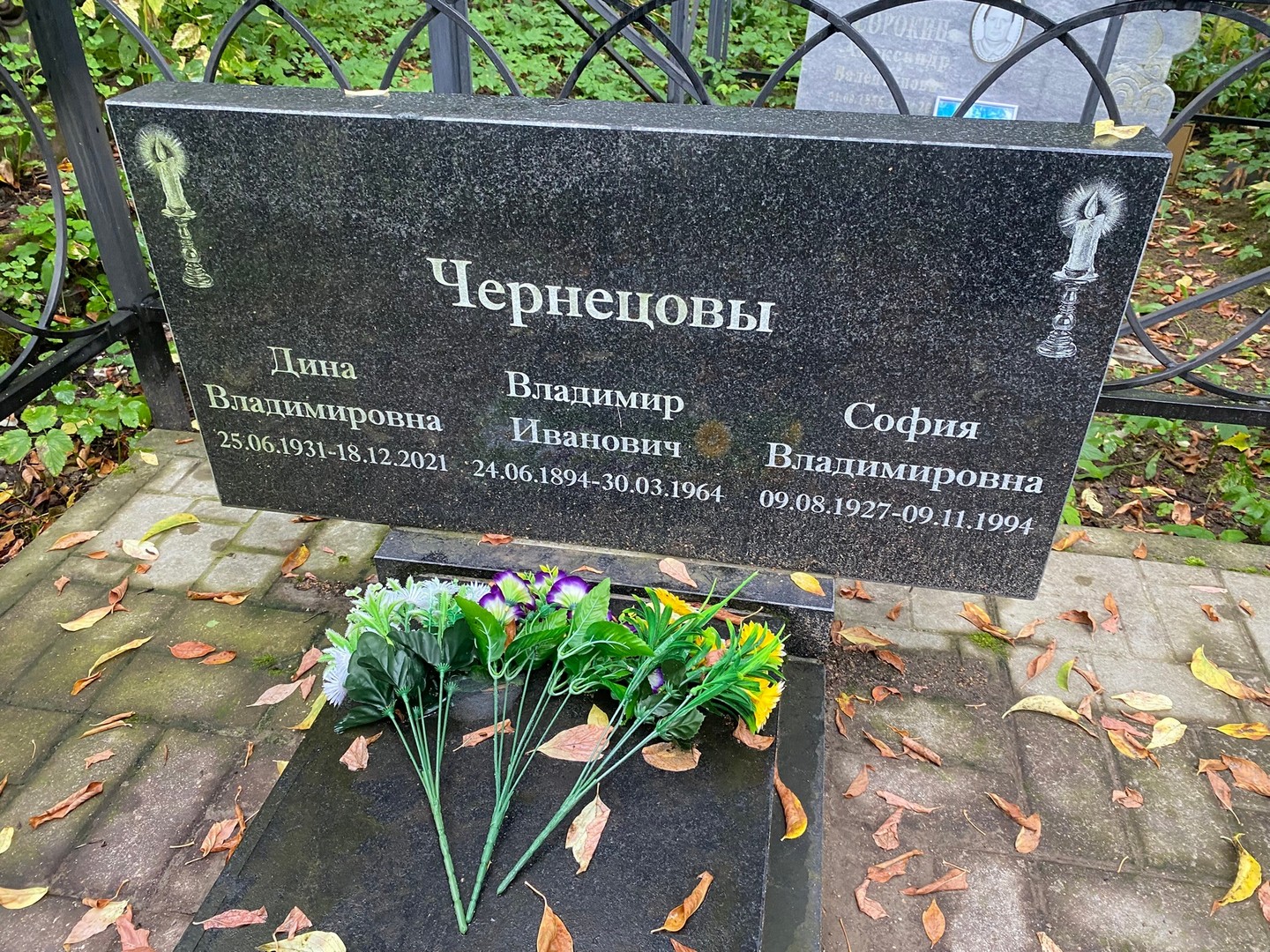 Дина Чернецова Владимировна