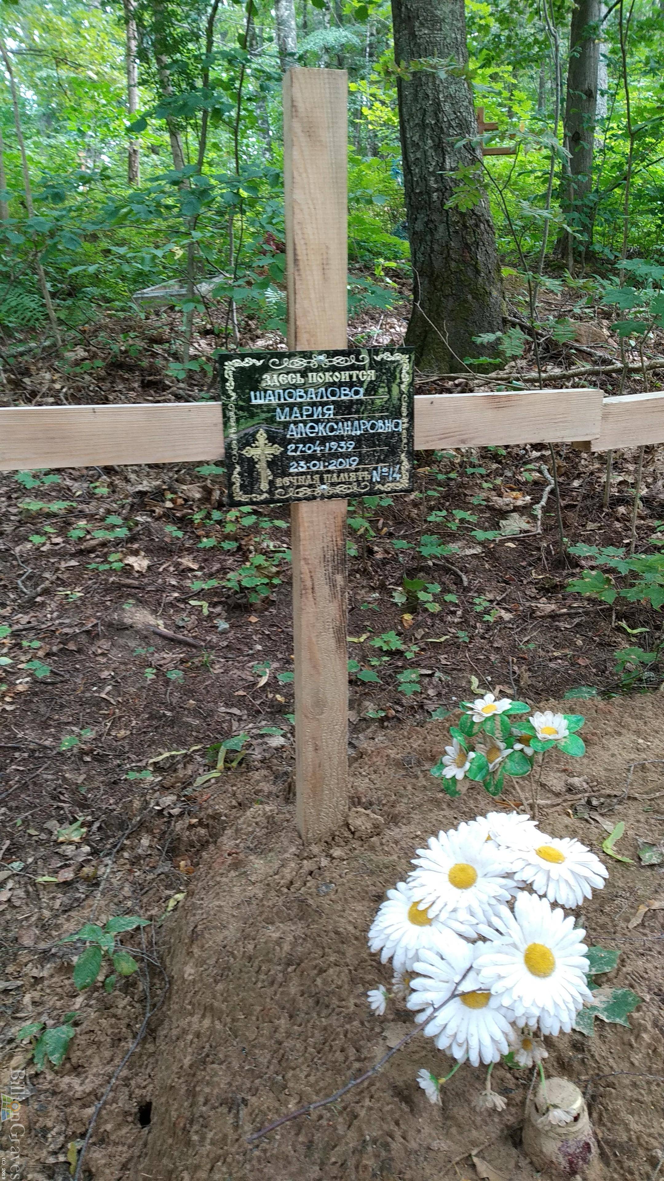 Шаповалова Мария Александровна