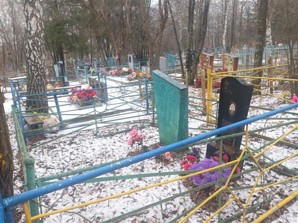 Предеин Владимир Яковлевич
