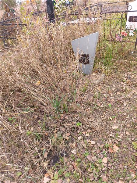 Зотина Лариса Федоровна