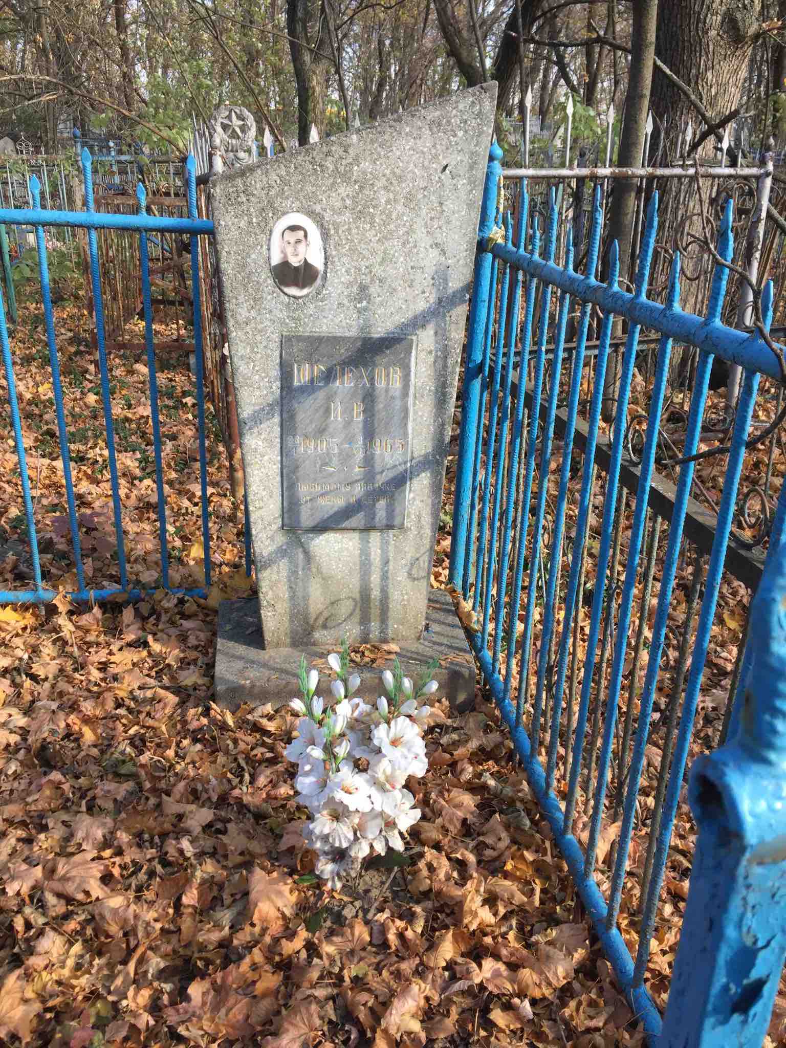 Шелехов None