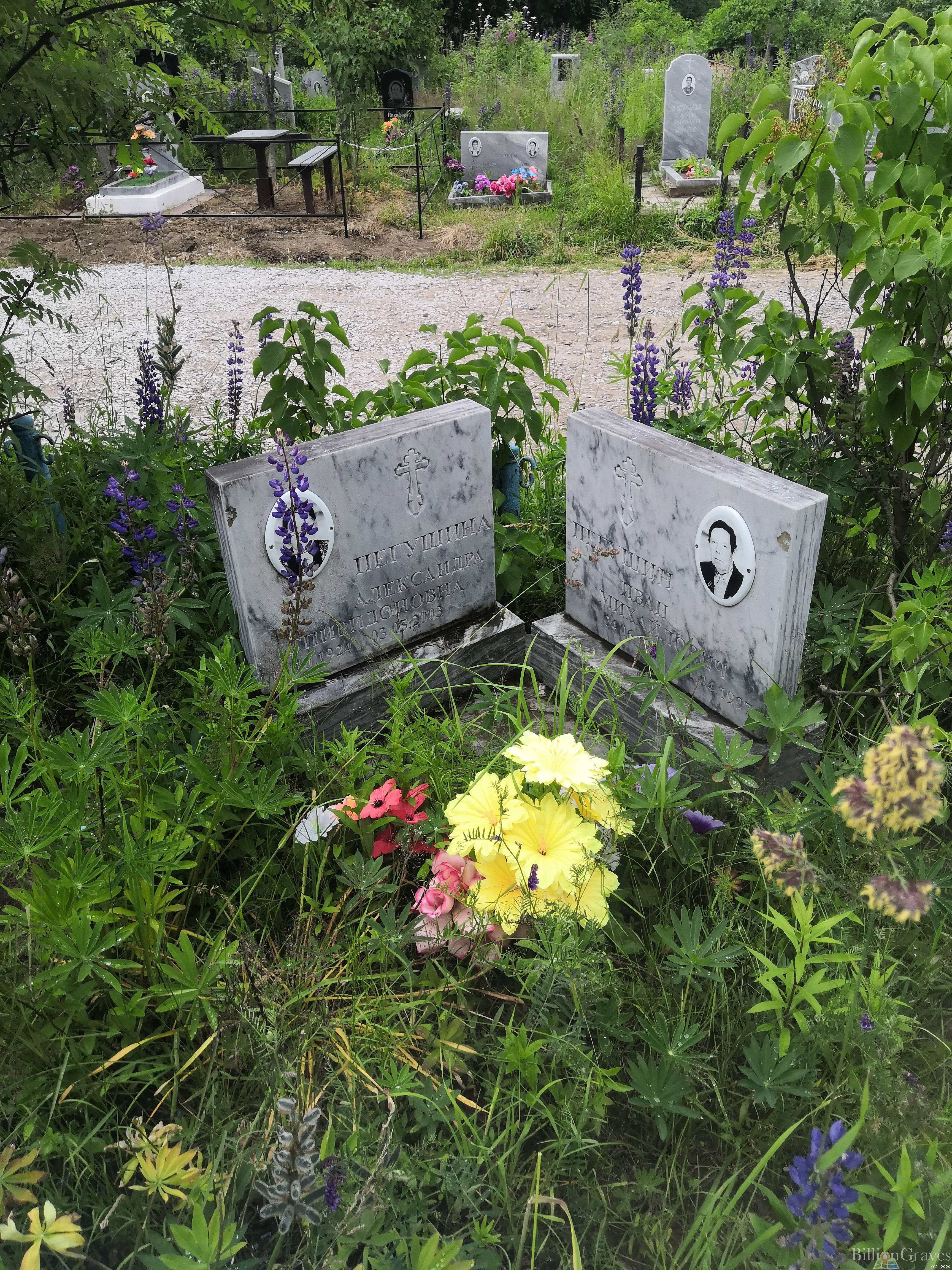 Пегушина Александра Спиридоновна