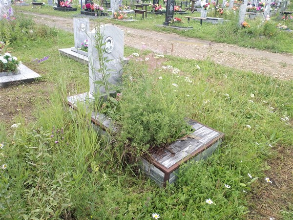 Лементьева Антонина Михайловна