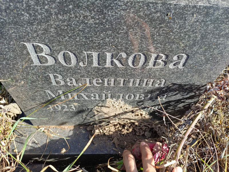 Волкова