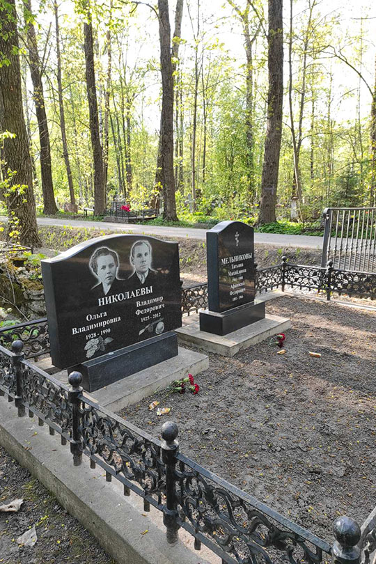 Николаев Владимир Федорович