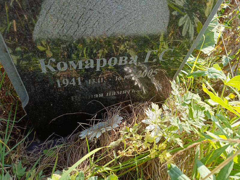 Г. Комарова С.