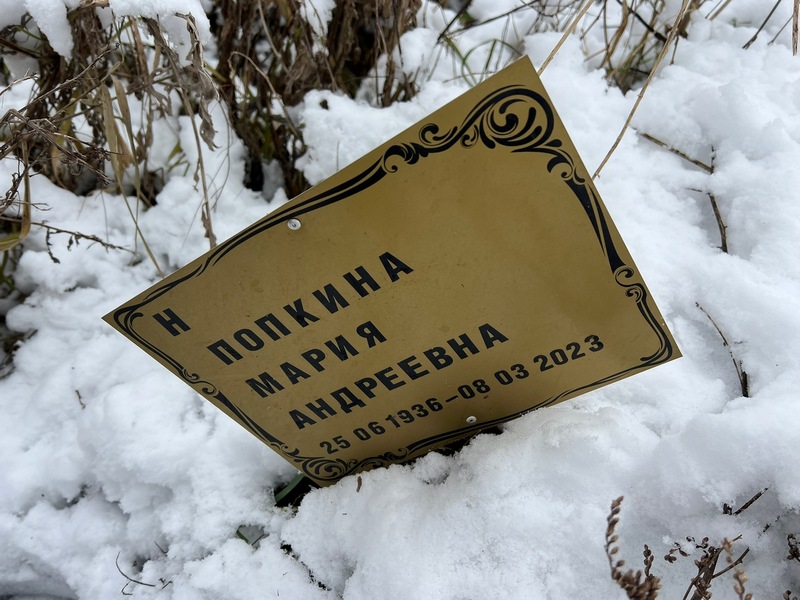 Попкина