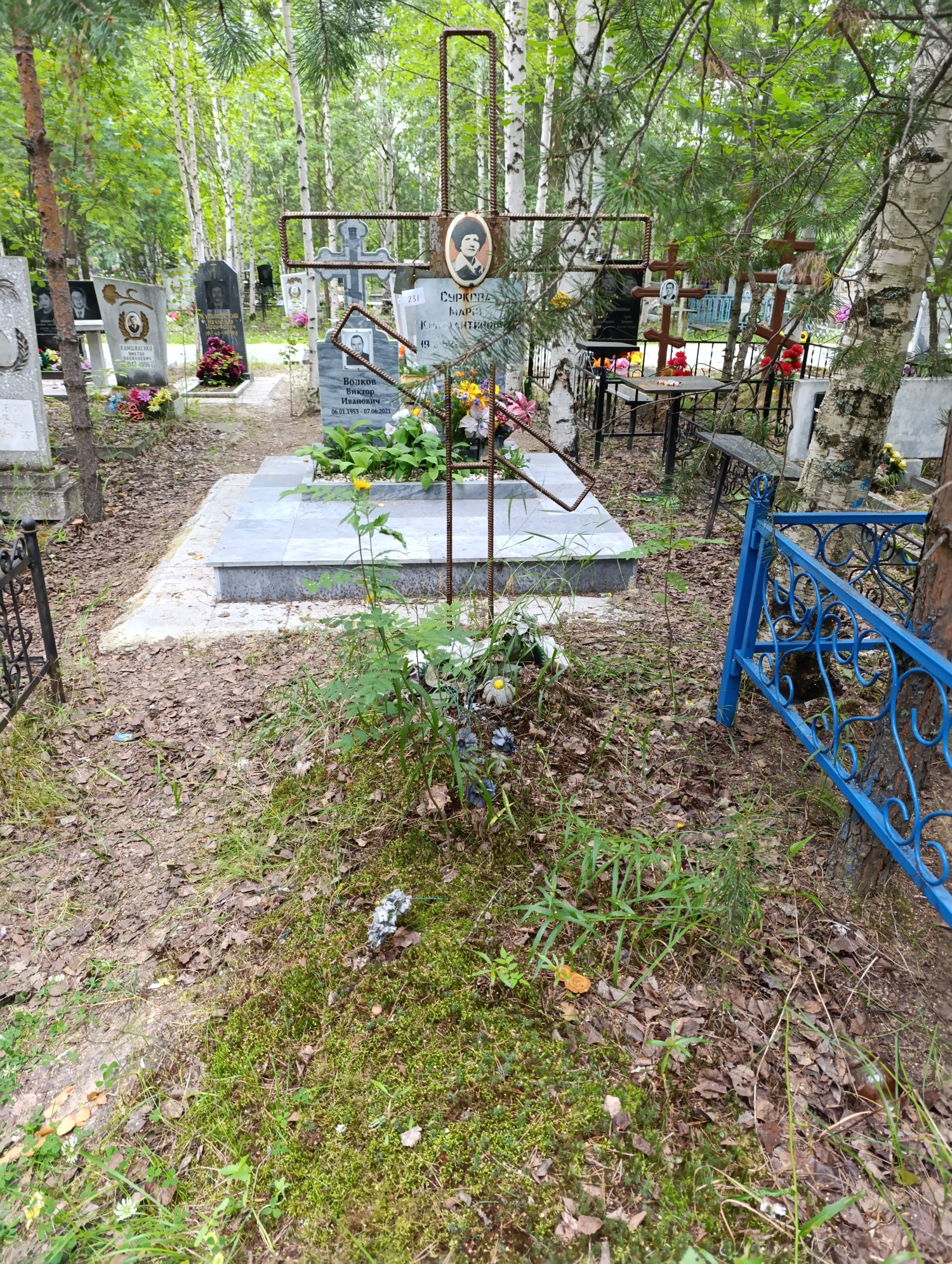 Суркова Мария Константиновна
