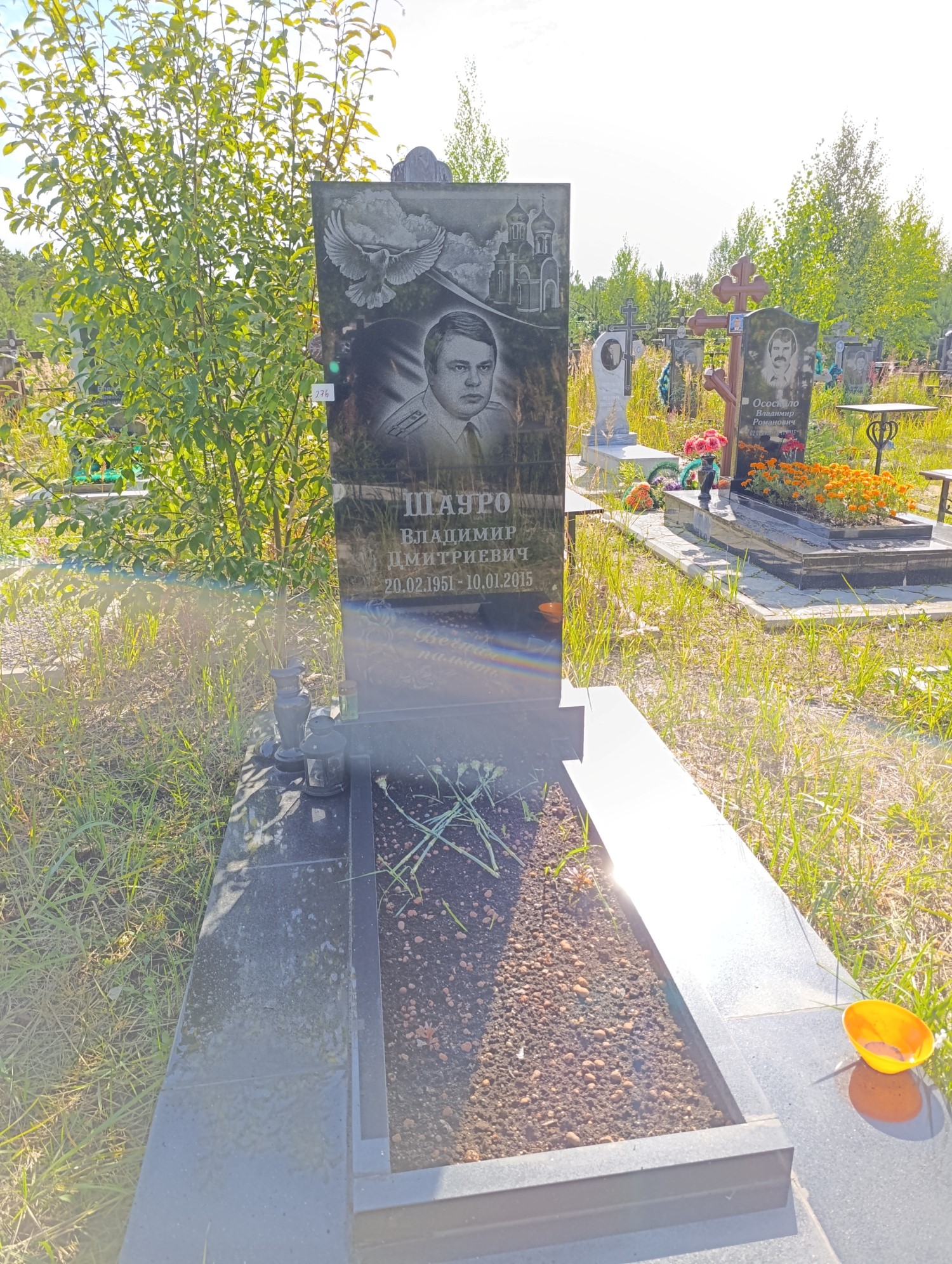 Шауро Владимир Дмитриевич