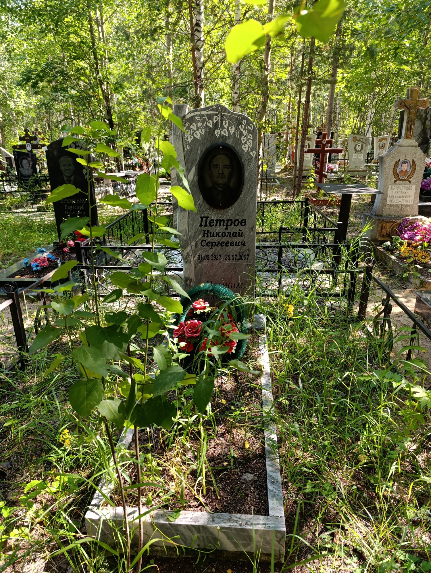 Петров Николай Сергеевич