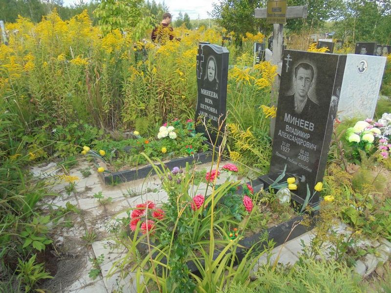 Минеев Владимир Александрович